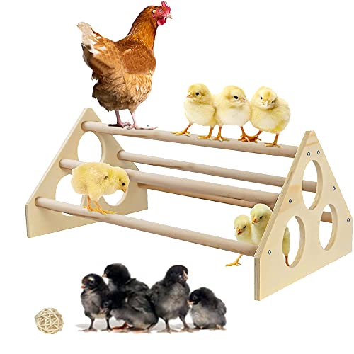 Allazone Handmade Chicken Roosting Chick Perch Strong Wooden Chick Parrot Perches Toy Bird Stand Rack with 10 PCS Rattan Balls for Bird Parrot Hens