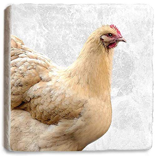 Chicken Coaster - Rustic Marble Coaster by Stone Rebellion (Chicken)
