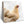 Load image into Gallery viewer, Chicken Coaster - Rustic Marble Coaster by Stone Rebellion (Chicken)
