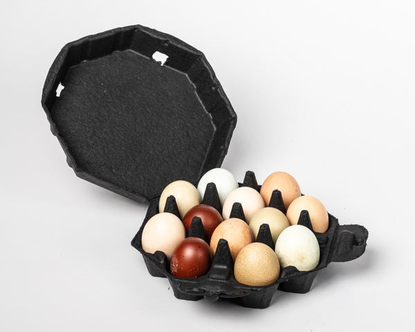 Black Octagonal Pulp Egg Box (Pack of five)